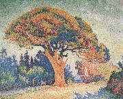 Paul Signac Pine Tree at Saint-Tropez oil painting reproduction